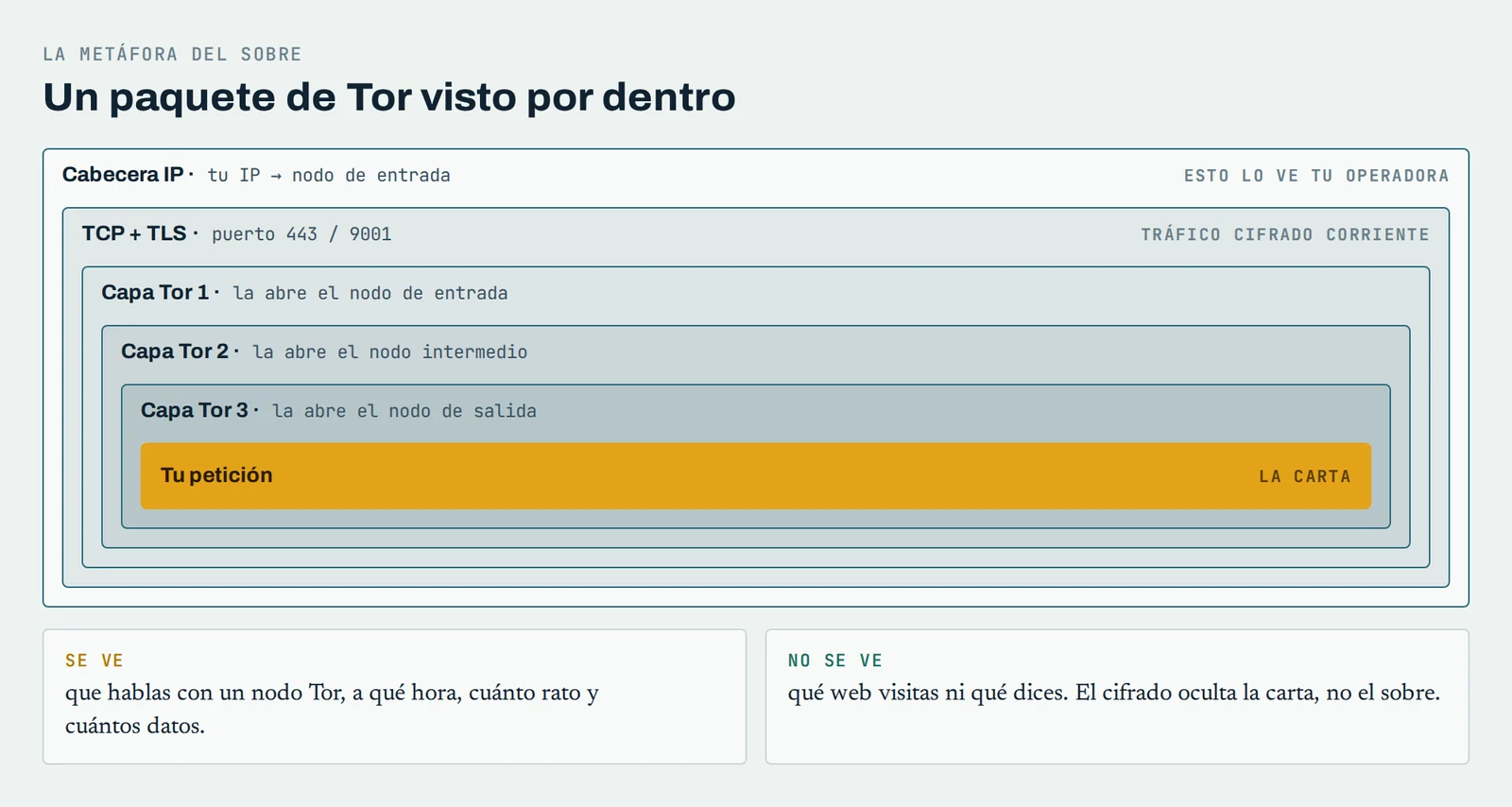 Un paquete de Tor por dentro: cabecera IP, TCP con TLS y tres capas de cifrado alrededor de tu petición; se ve con quién hablas y cuánto, pero no qué web visitas